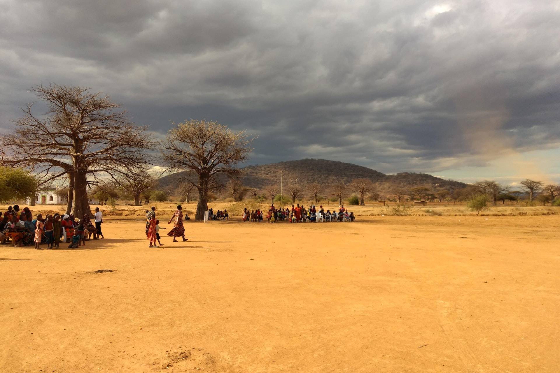 people on brown field near trees under cloudy sky during daytime