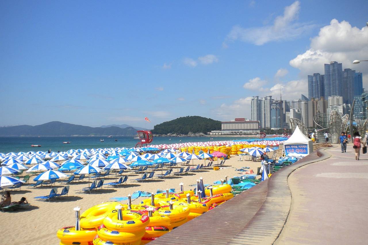 busan, haeundae beach, umbrellas