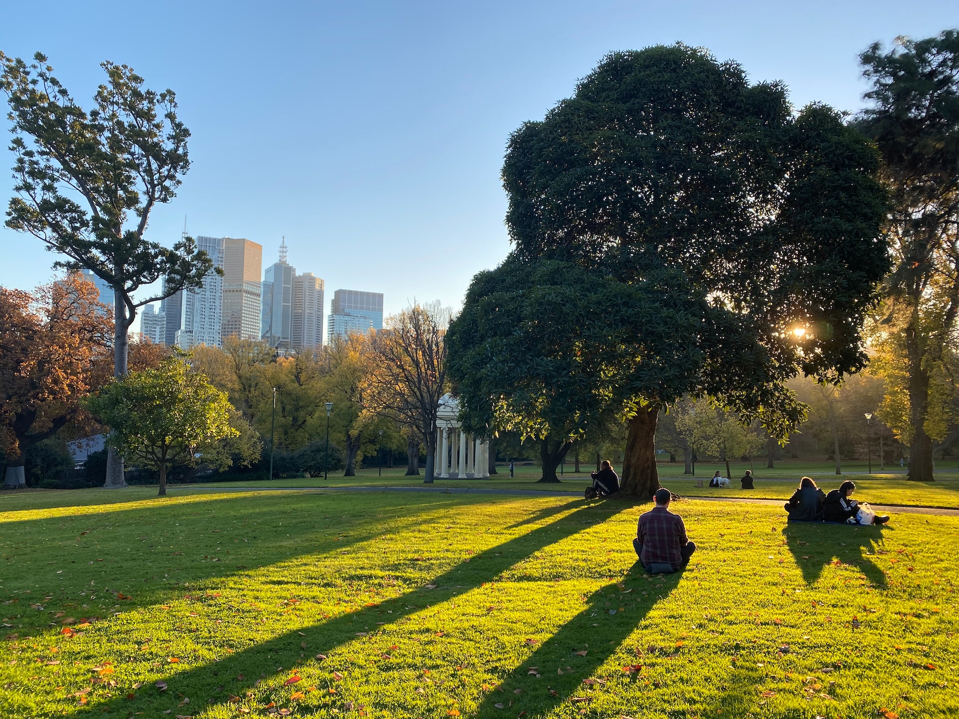 green grass field with trees and buildings in distance