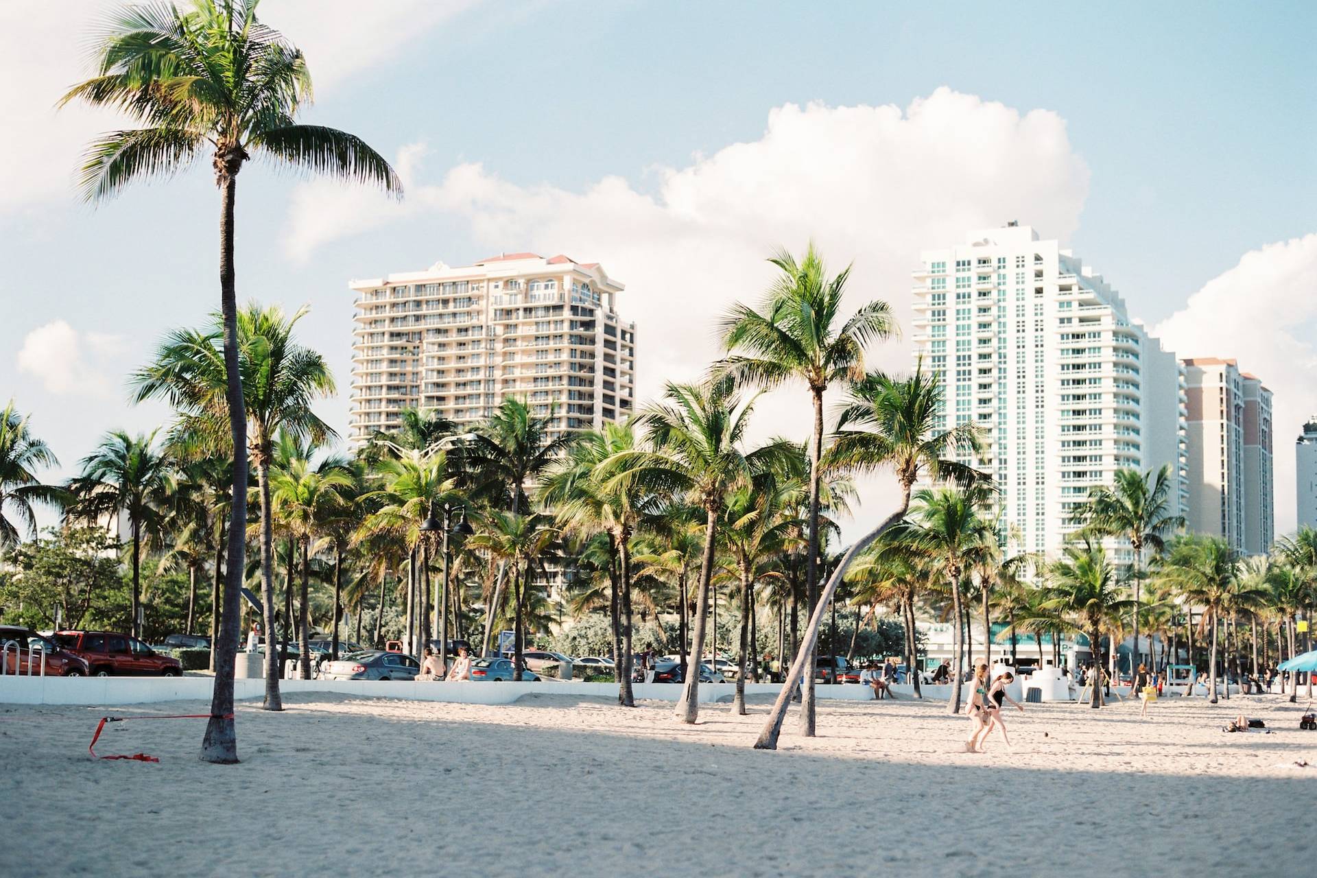 palm trees near buildings