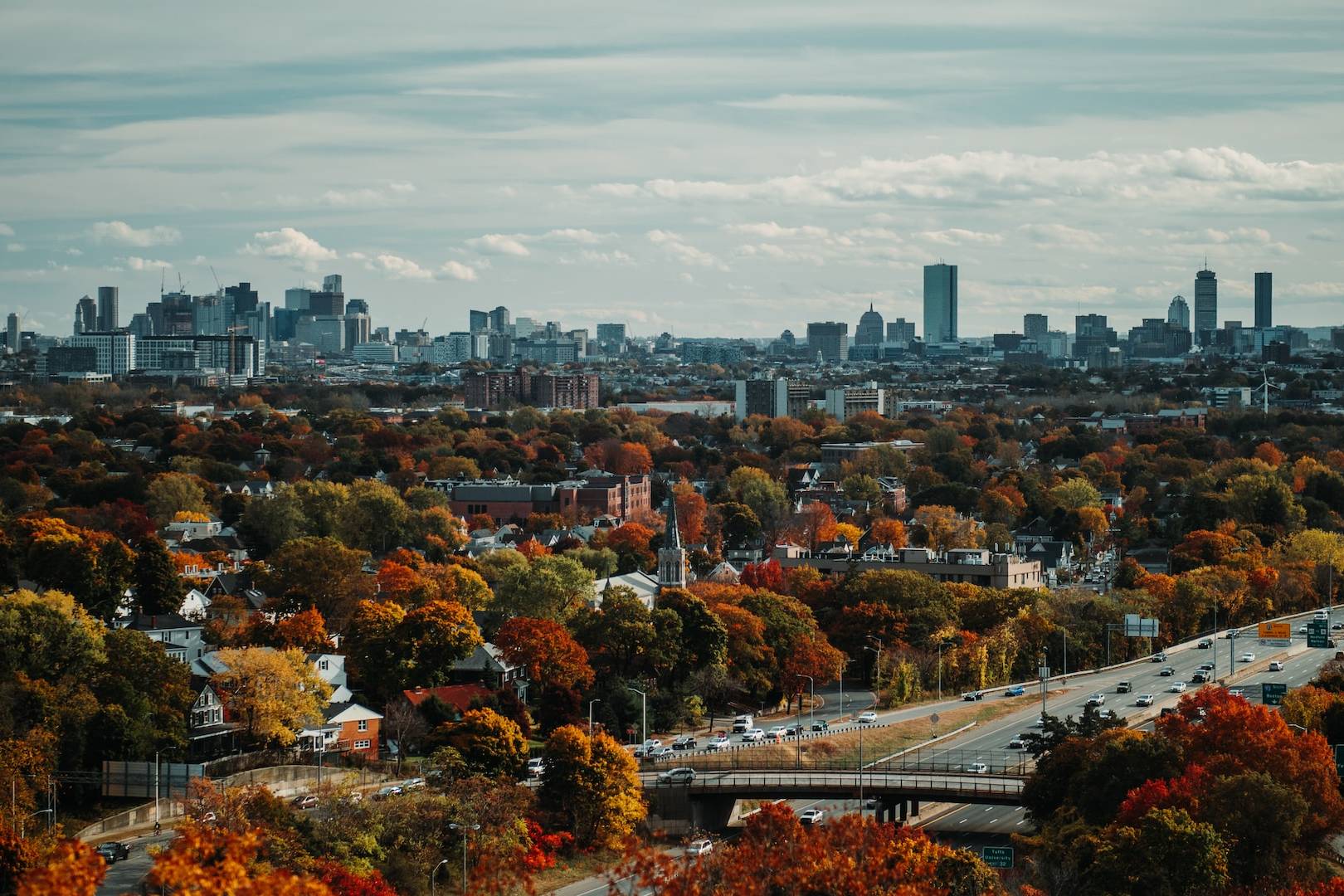 aerial photography of trees and buildings in the city