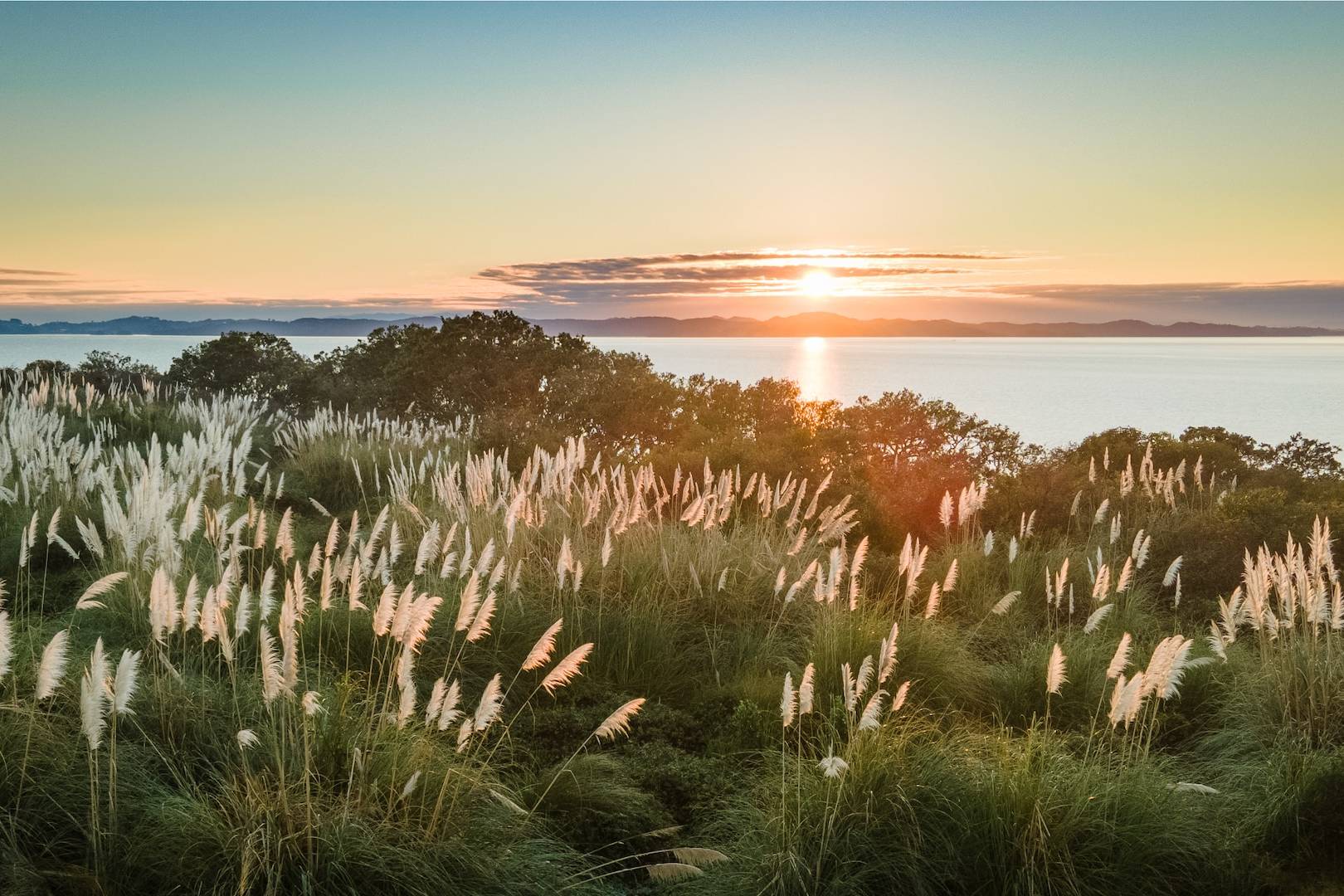 green grass field near body of water during sunset