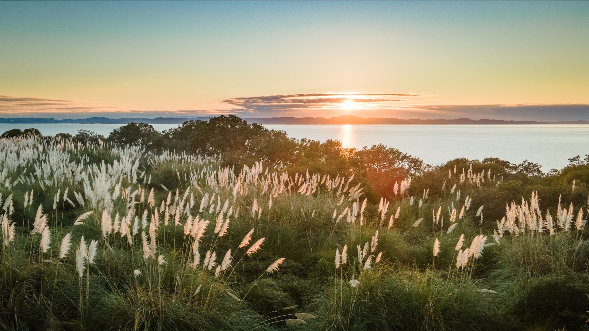 green grass field near body of water during sunset