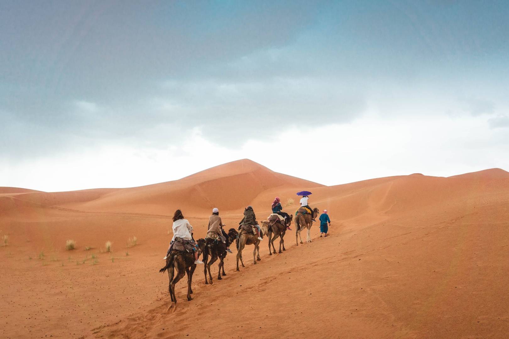 group of people riding camels on desert