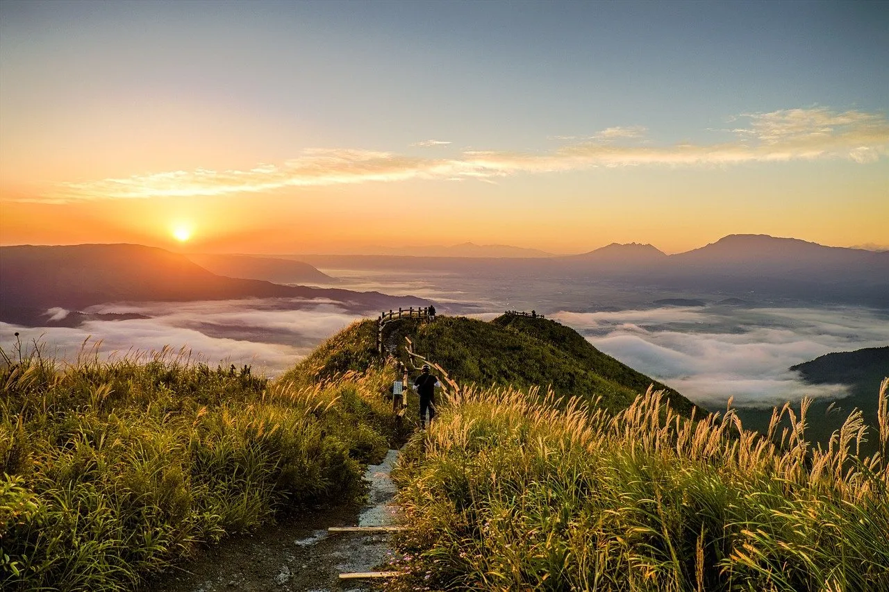 pathway, mountain, grass