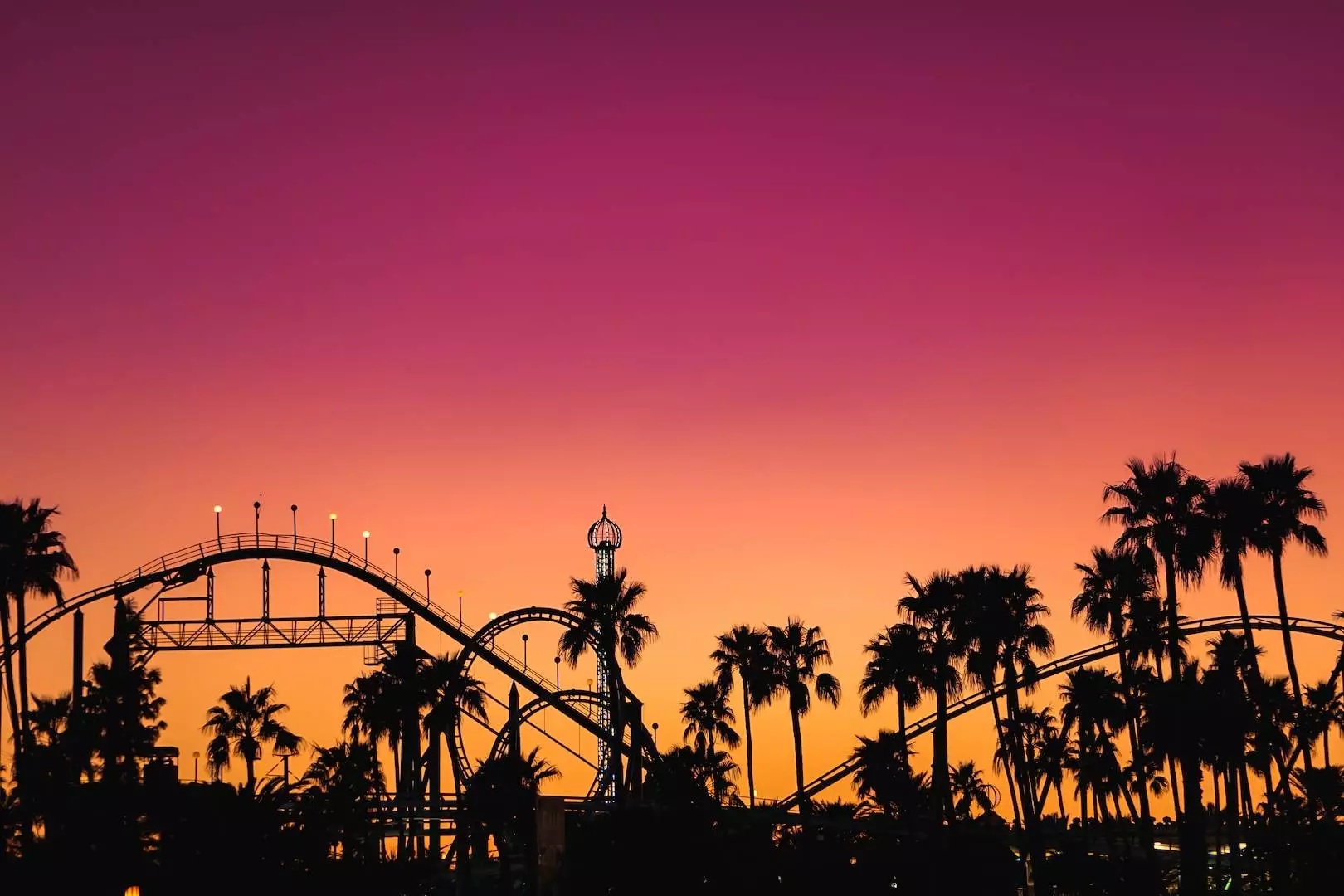 silhouette of palm trees during sunset