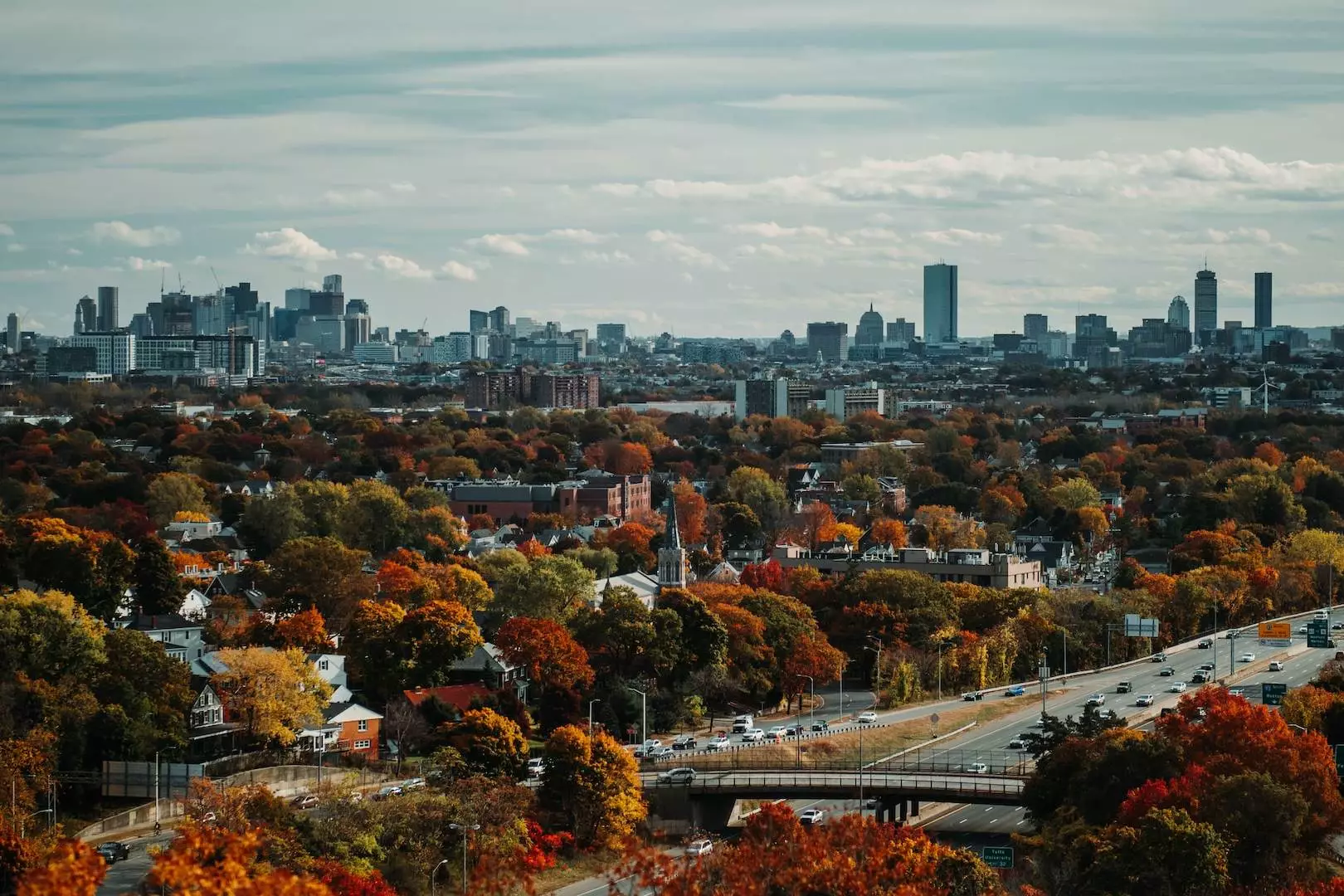 aerial photography of trees and buildings in the city